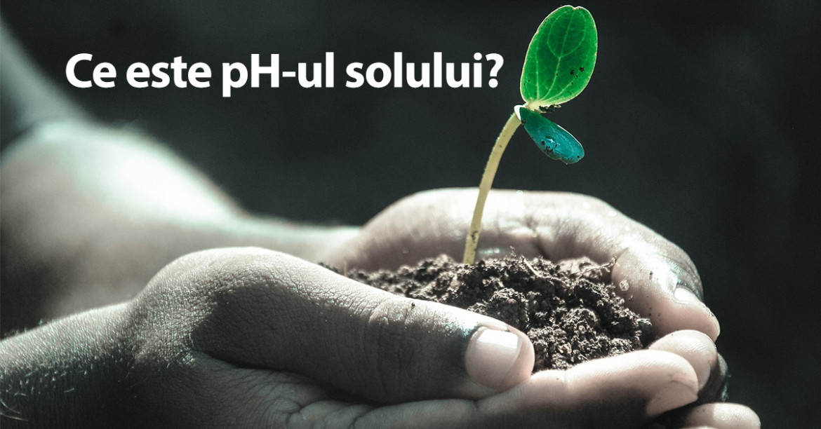 Ce trebuie sa stii despre pH-ul solului
